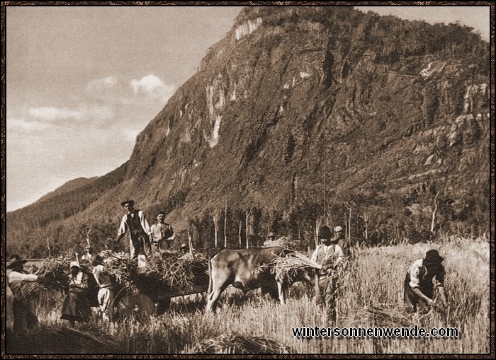 Deutsche Siedler bei der Getreideernte am 
Ranco-See in Chile.