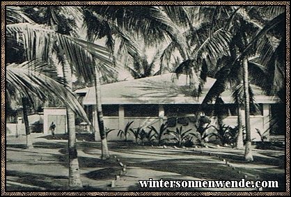 Die Siedlung eines Deutschen in einem Togoer Palmenhain.