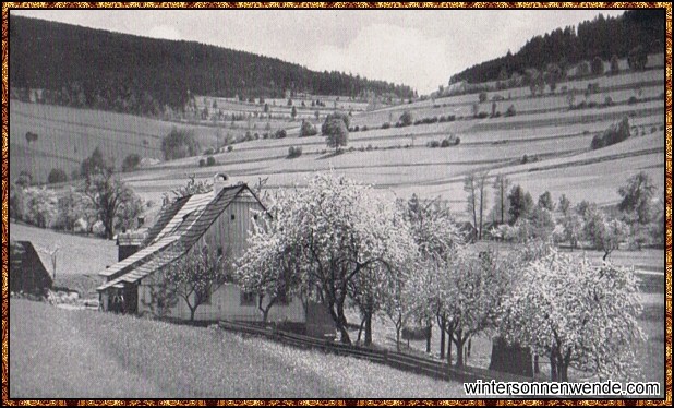 Baumblüte bei Dittersdorf, sudetend. Schlesien