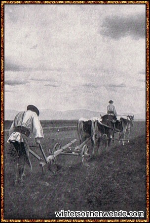 Siebenbürgisch-sächsische Bauern beim Pflügen