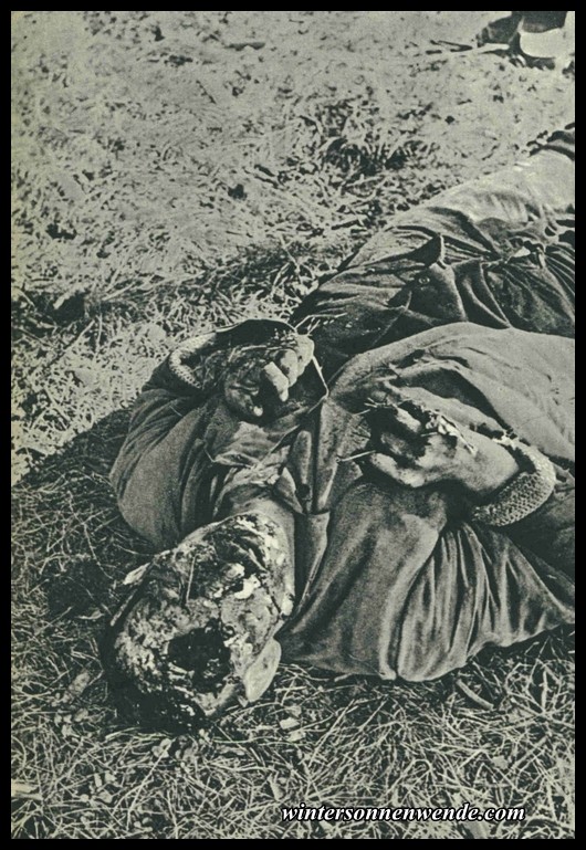 Erschlagene und ermordete volksdeutsche Bauern.