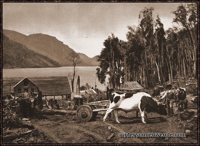 In den unendlichen Wäldern Chiles schaffen deutsche Holzfäller wie in der
fernen Heimat für ihre Sägewerke. Das Bild zeigt ein deutsches Sägewerk am 
Ranco-See. Die Räder der einfachen Holzschleppwagen sind mit der Axt aus einem
Baumstamm geschlagen.