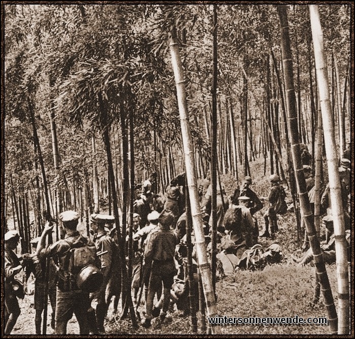 Die Hitlerjugend von Schanghai auf einer Osterfahrt im Bambuswald.