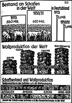 Nur unbedeutende Wollproduktion Deutschlands